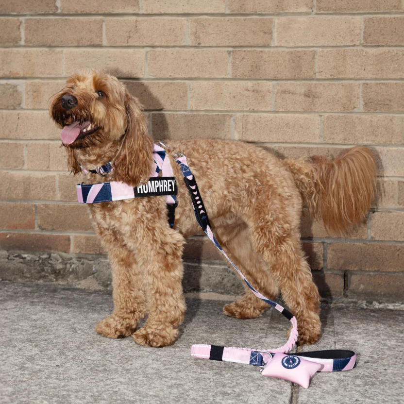 Product image 91