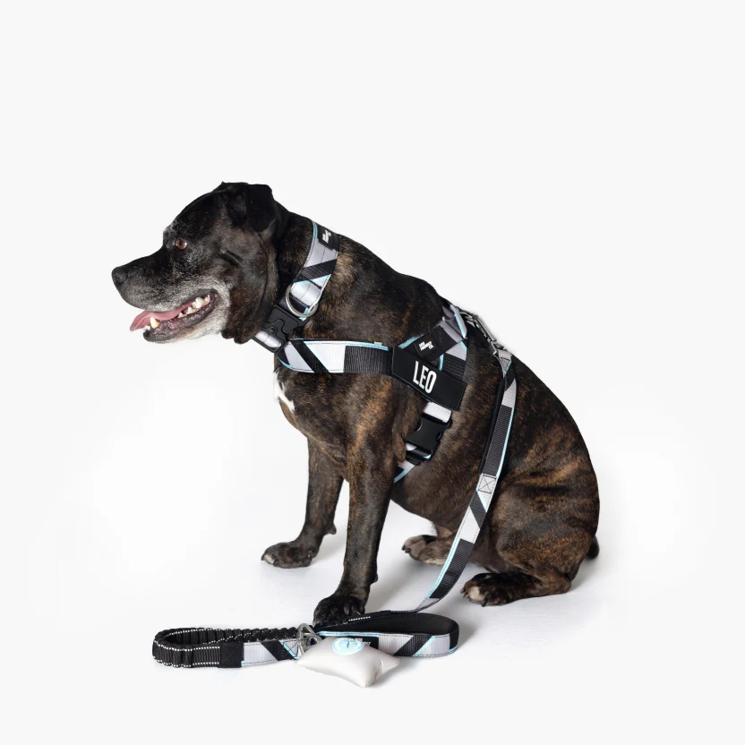 Product image 93